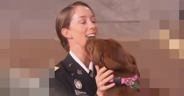 soldier-reunited-dog