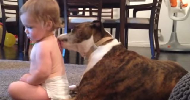 dog-baby-bath