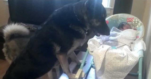 protectingbaby